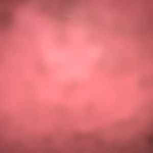 Meet your Posher, Adex